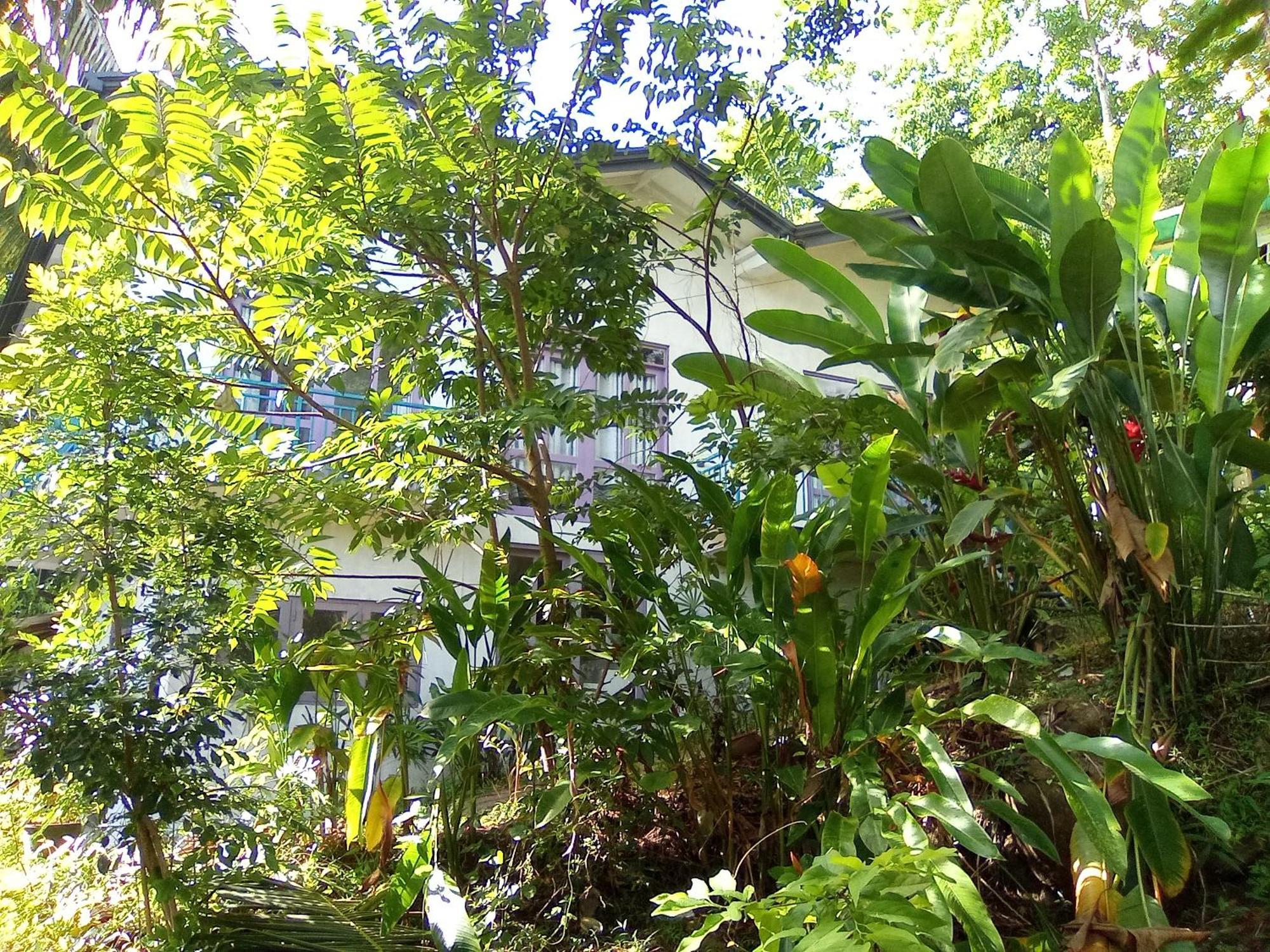 House 73 Hotel Unawatuna Exterior foto